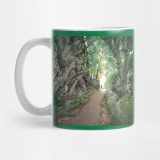 Mountain path Mug